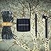 DeVida Solar String Lights 120 Warm White LED, Easy to Install, Automatically Turns on at Night, Outdoor Waterproof, 55 ft Set Includes 13 ft Lead Wire Plus 42 ft Lighted Strands for Tree Wrap