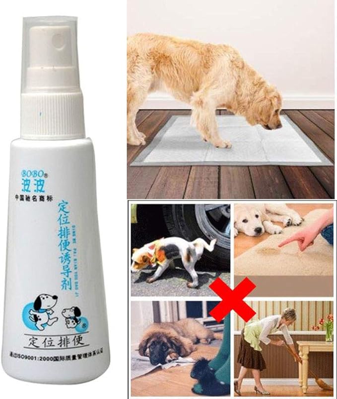 pet corrector dog training aid