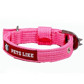 PetsLike Collar, Pink (20 mm)