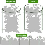 MUAEEOK 6 Pack Plant Support Stakes 25x60cm Half Round Garden Cage view 7