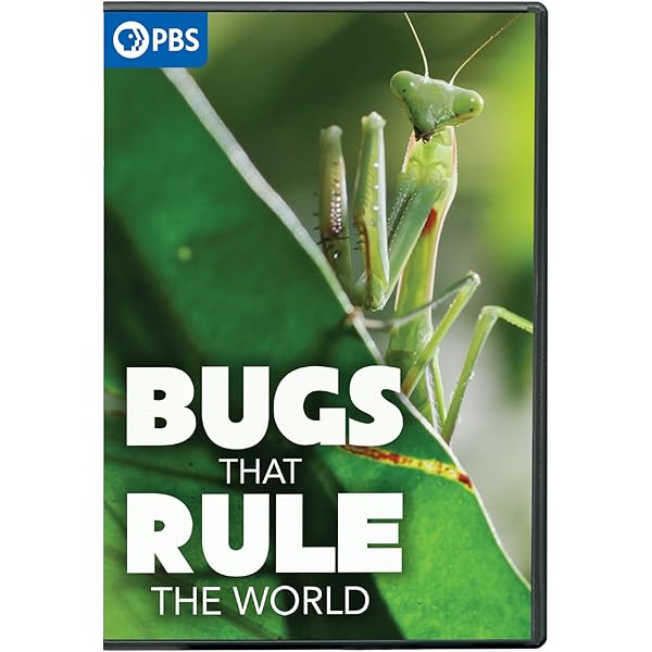 Amazon.com: Bugs That Rule the World DVD : Nkeki Obi-Melekwe