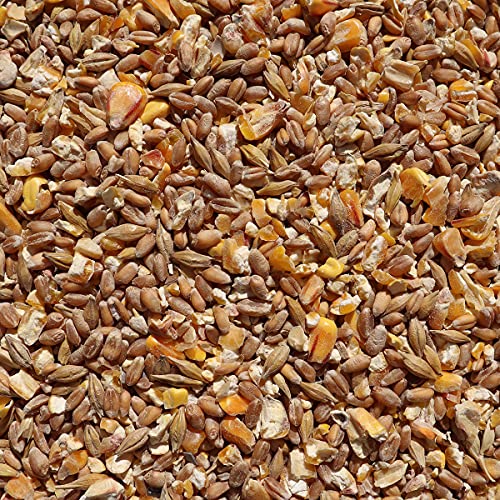 Eggersmann Körnerpick Hühnerfutter 25 kg Körnerfutter Basic - Basic Hühner Körnerfutter Geflügelfutter - Premium Körnermischung für Hühner Gänse und Enten – Bild 5