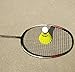 Colletia Badminton 12-Pack Medium Speed Shuttlecocks (Yellow) Nylon Feather Birdies Balls Great Durability and Stability Suitable for Outdoor Indoor Sports Training (Yellow)