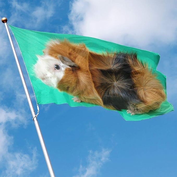 Gsixgoods Bandera Home Garden Flag Abyssinian Guinea Pig Polyester Flag