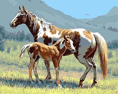 Arts Language Wooden Framed 16" x 20" Paint by Numbers Diy Painting -Hequ horses