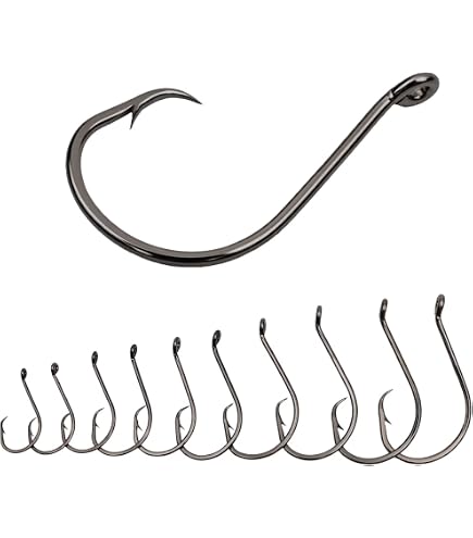 Amazon.com : 150PCS Circle Hooks, Strong High Carbon Steel Fresh and  Saltwater Fishing Hooks, Variety of Different Sizes Circle Hook - Size:#1  1/0 2/0 3/0 4/0 5/0 6/0 8/0 : Sports & Outdoors