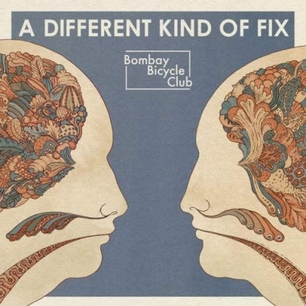 A Different Kind of Fix [Vinyl LP] [VINYL]