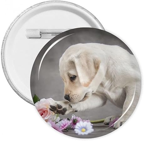 Amazon かわいいラブラドールレトリバーと花 バッジ 缶バッチ ボタンバッジ ピンバッチ バッジ Badge Button ボタンブローチ おもちゃ雑貨 コレクション 工芸品 簡単 軽量 リュック トートバッグ ラペルピン ジャケット用 おもちゃ おもちゃ Amazon かわいいラブラドールレトリバーと花 バッジ 缶バッチ ボタンバッジ ピンバッチ バッジ Badge Button ボタンブローチ おもちゃ雑貨 コレクション 工芸品 簡単 軽量 リュック トートバッグ ラペルピン ジャケット用 おもちゃ おもちゃ