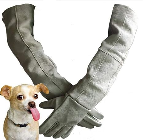 Amazon Co Jp ペット抗噛み手袋 厚手の革製保護手袋 猫の掻き傷のトカゲラットトレーニング犬咬傷蜂肥厚風呂研究室 Diy 工具 ガーデン