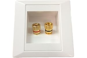 Wall Speaker Wire | Home Theater Wall Plate - 10 * 10 * 3cm Enhanced Integration Speaker Walls Plate with Banana Plugs, Tight
