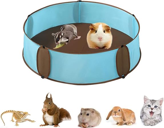amazon guinea pig playpen