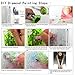 DIY 5D Diamond Painting Kit Full Diamond Spitfire Dragon Embroidery Square Resinstone Cross Stitch Arts Craft Supply for Home Wall Decor