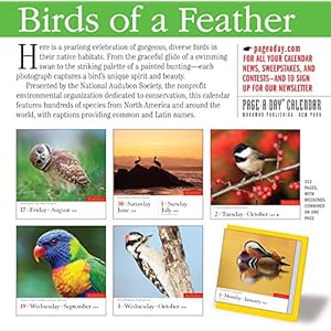 Audubon Birds Page-A-Day Calendar 2018