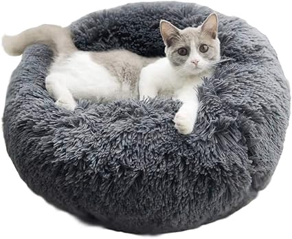 Bingopaw Panier Chat Moelleux Anti Stress Coussin Chien Rond Doux En Peluche Lit Donut Chien Dehoussable Et Confortable Ideal Pour Animaux De Compagnies Un Bon Sommeil Pendant Hiver M Gris Amazon Fr Animalerie
