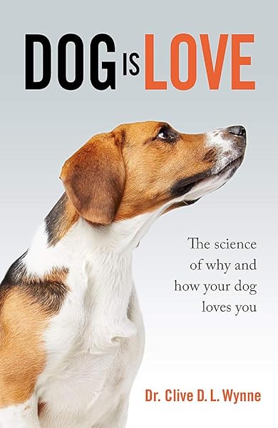 how to get your dog to love you