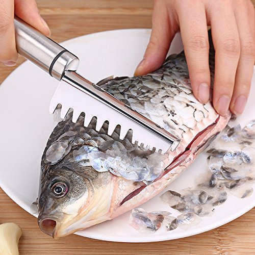 Top 10 Best Fish Scalers On The Market 2024 Reviews
