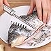 Fish Scale Remover, Amison Fish Scales Scraper with 304 Stainless Steel Sawtooth for Fast Scales Peeling, Silver