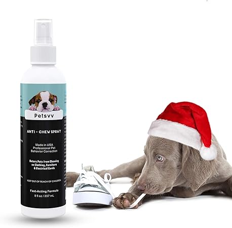 puppy chewing clothes