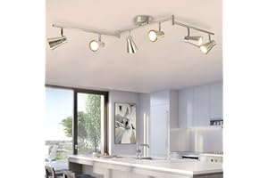 DINGLILIGHTING DLLT 6-Light Flexible Track Lighting Rail, Modern Directional Led Spot Ceiling Light Fixture Flush, Brush Steel, Bulbs Included for Living Room, Dining Room, Bedroom, Kitchen, Office