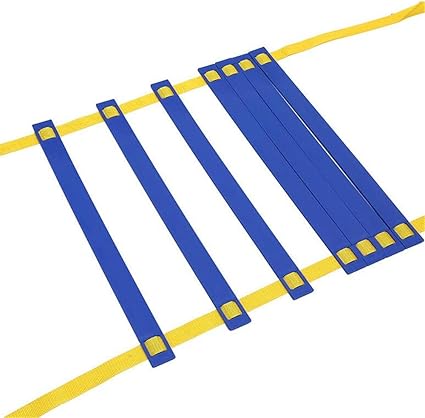 workout ladder amazon