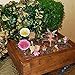 Mood Lab Fairy Garden - Miniature Figurines and Accessories Starter Kit - Hand Painted Fairy Garden Set for Outdoor or House Decor