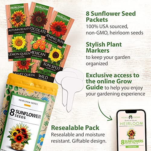 1000+ Bulk Sunflower Seeds for Planting Outside 8 Variety Pack