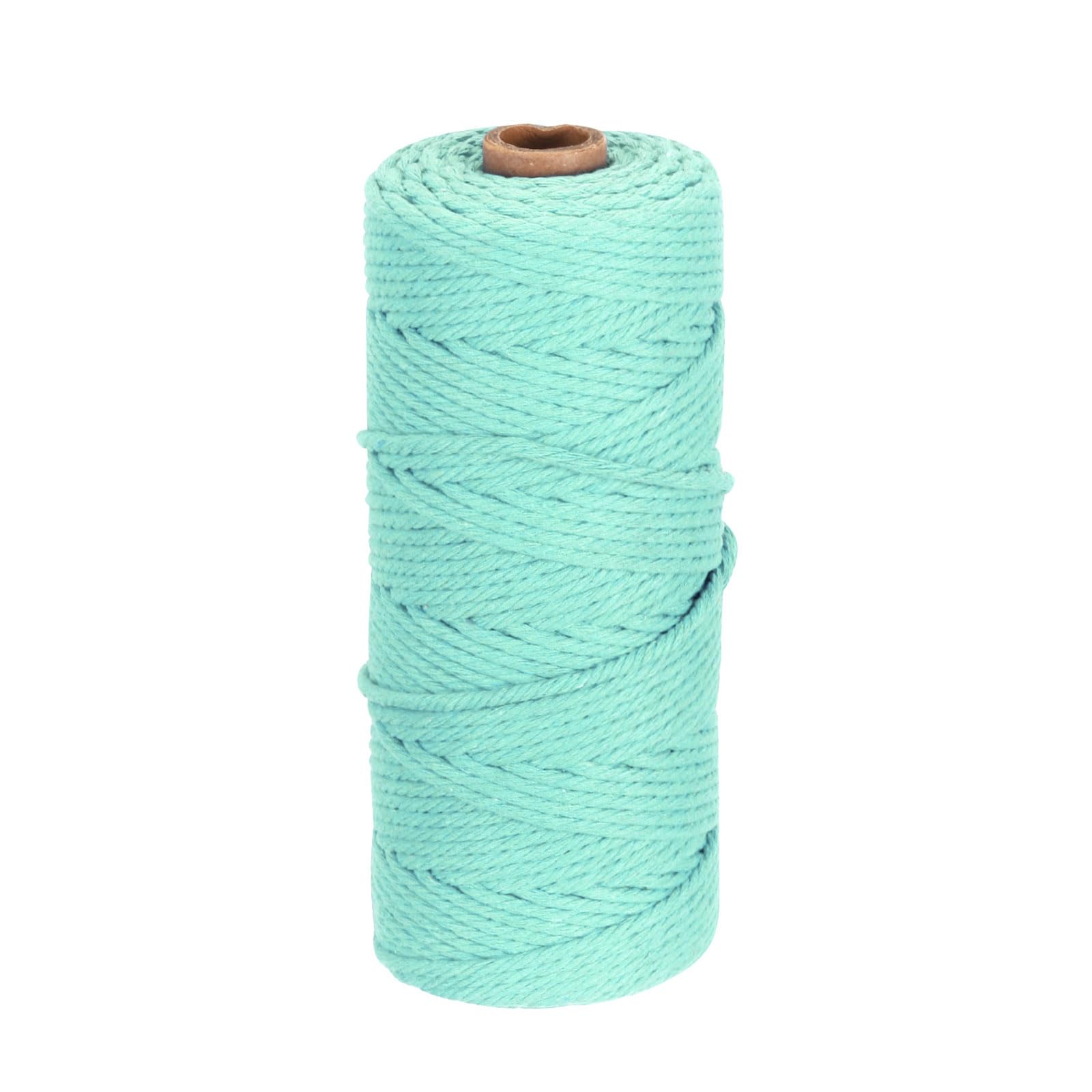 DMiotech 3mm x 100M (109 Yard) Light Blue Natural Cotton Macrame Rope, Wall Hanging Handmade 2 Strands Twisted Macrame Cotton Cord for Plant Hangers, Gift Wrapping Wedding