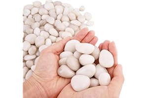 WHANLEY L&Q Natural Cream White River Rocks 2-3 Inch High Polished Decorative Rocks Pebbles for Plants Indoor Outdoor White Rocks for Landscaping Rocks for Plants,Vases, Aquariums, Terrarium,Gardening 1 LB