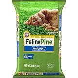 equine pine cat litter