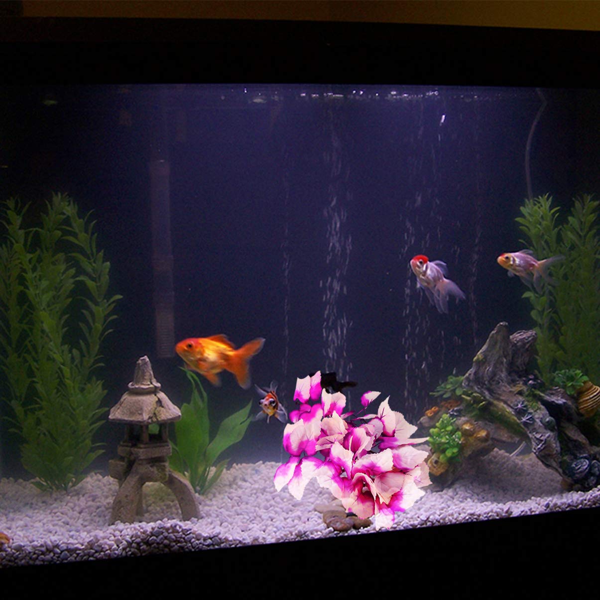 View 6