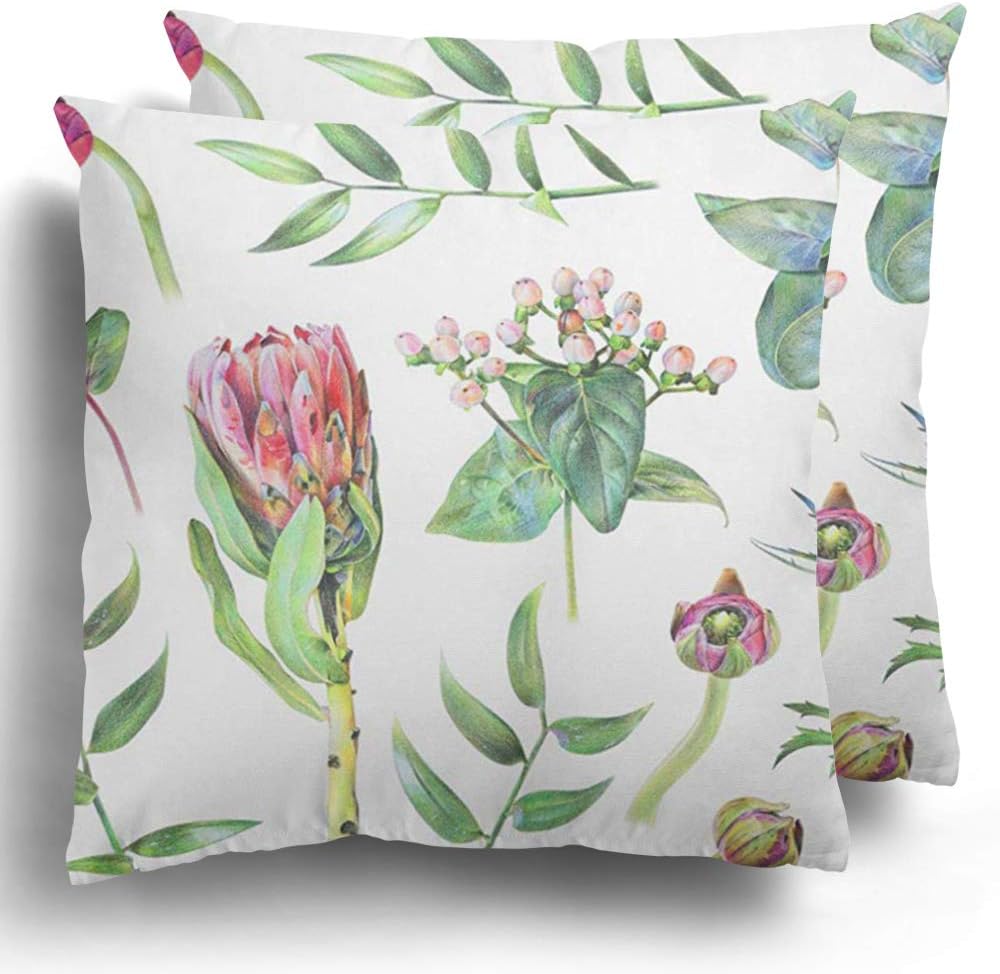 Throw Pillow Covers Pack of 2 Protea Feverweed Hypericum Buttercup Buds Eucalyptus and Green Leaves Drawn with Colored Pencil Spring Polyester Square Case Bed Home Decor 20 x 20 Inches
