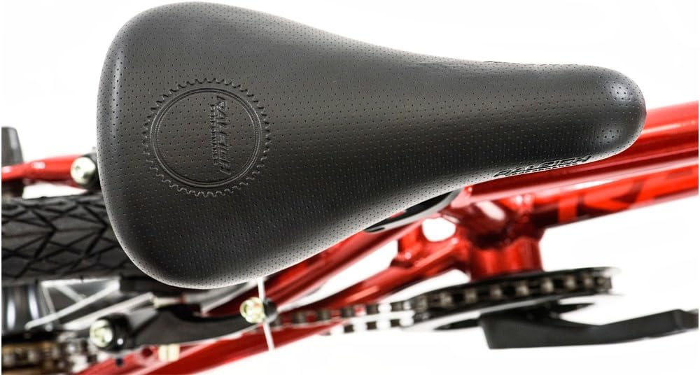 raleigh performance 14