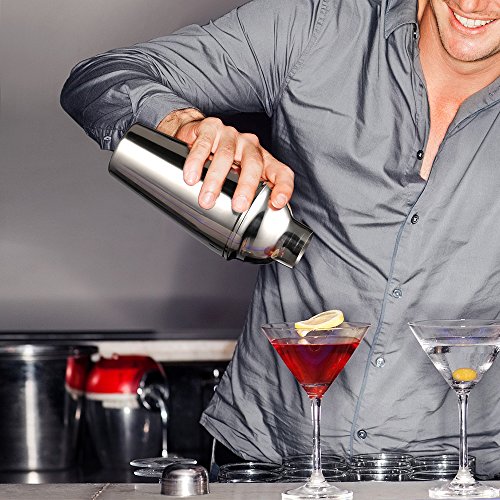 Professional Cocktail Shaker Leakproof Martini Shakers Drink Shaker Bar Set Accessories Rustproof Stainless Steel Bartender Kit Tools Spoon Wine Pourer Measuring Jigger Recipes