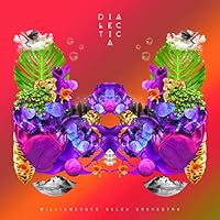 Williamsburg Salsa Orchestra Ablum Cover