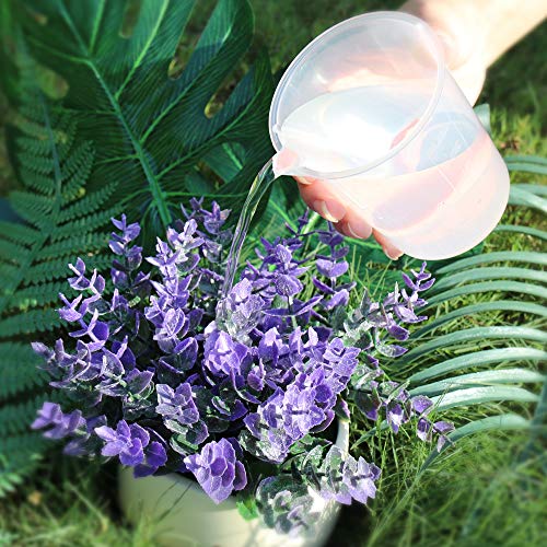 ULAB Scientific Plastic Beaker Set, 5 Sizes 50ml 100ml 250ml 500ml 1000ml, Stackable with Spout, Molded Graduation, UBP1001