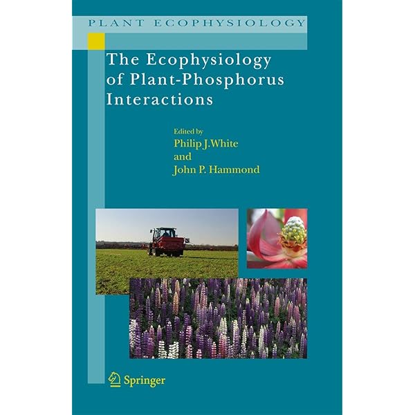 生理植物生態学 Physiological Plant Ecology 4th Physiological Plant Ecology: Ecophysiology and Stress Physiology