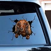 Funny Dachshund Window Car Sticker,11.8x11.8in 3D Vinyl Waterproof Pet Auto Decals,for Wall Laptop Car Window Truck Bumper Refrigerator