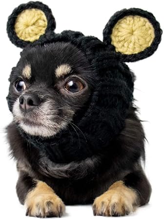 chihuahua outfits amazon
