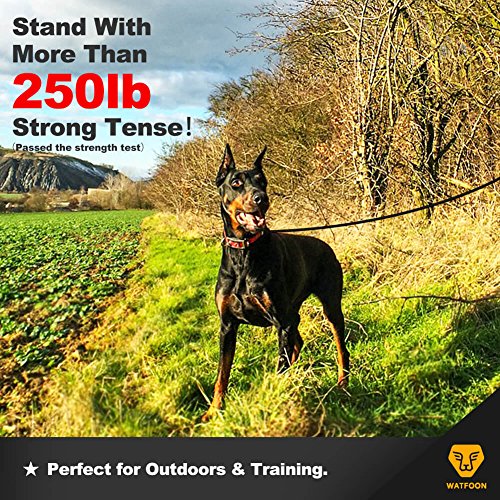 WATFOON - Metal Dog Leashã€2 Packã€‘Chew Proof Steel Cable Dog Leads for Large Dogs (Short Leash:2.6FT / Long Leash:6.0FT)