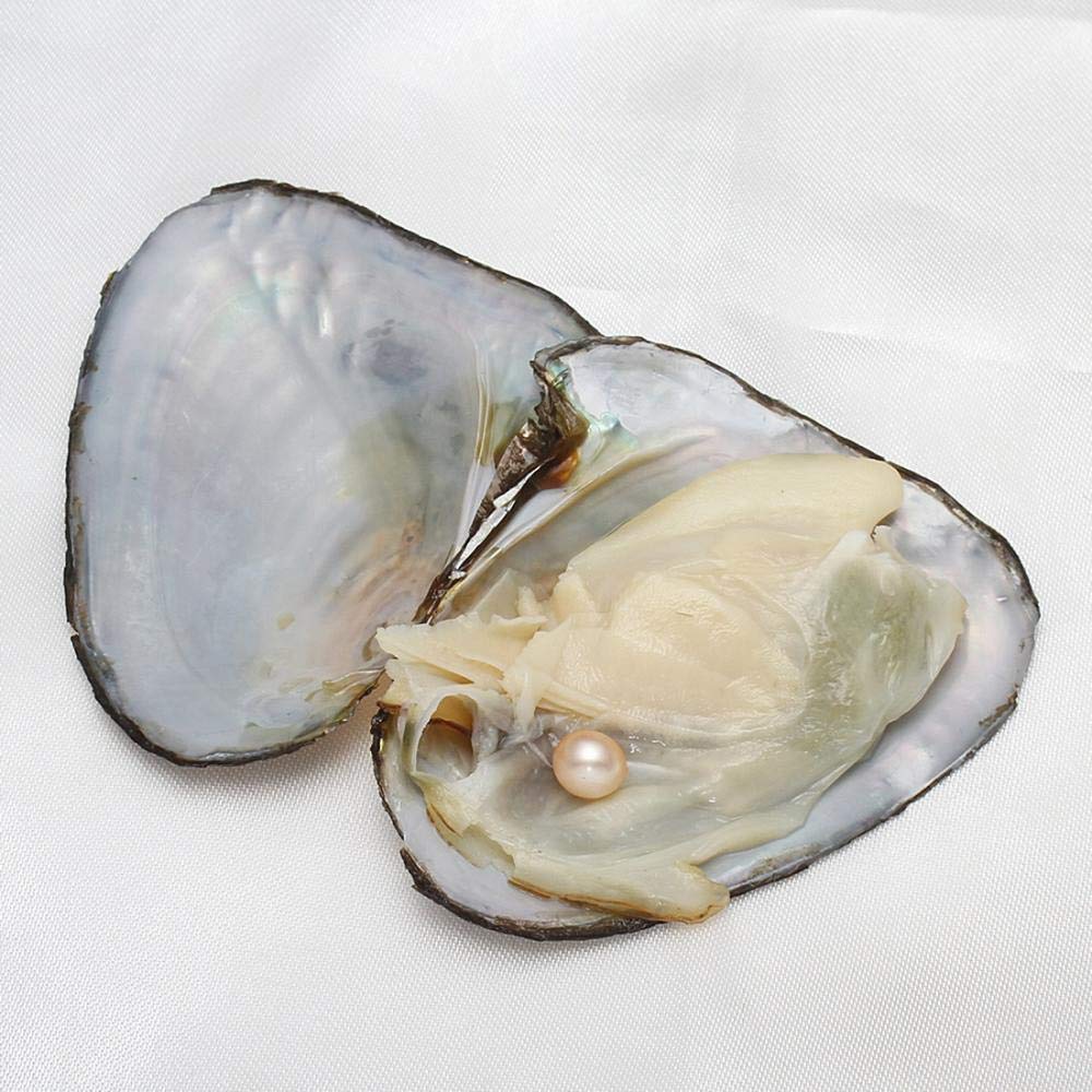 View 7
