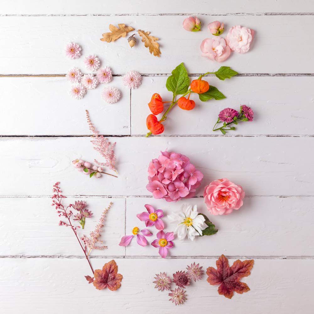 International Graphics - Finished Picture - Assaf, Frank - ''Eclectic Plants II''- 30 x 30 cm - Direct printing on acrylic glass