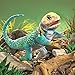 Folkmanis Collared Lizard Hand Puppet Plush, Blue-Green/Multicolor