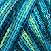 Caron Simply Soft Baby Yarn, 4 Ounce, Peacock Feather, Single Ball