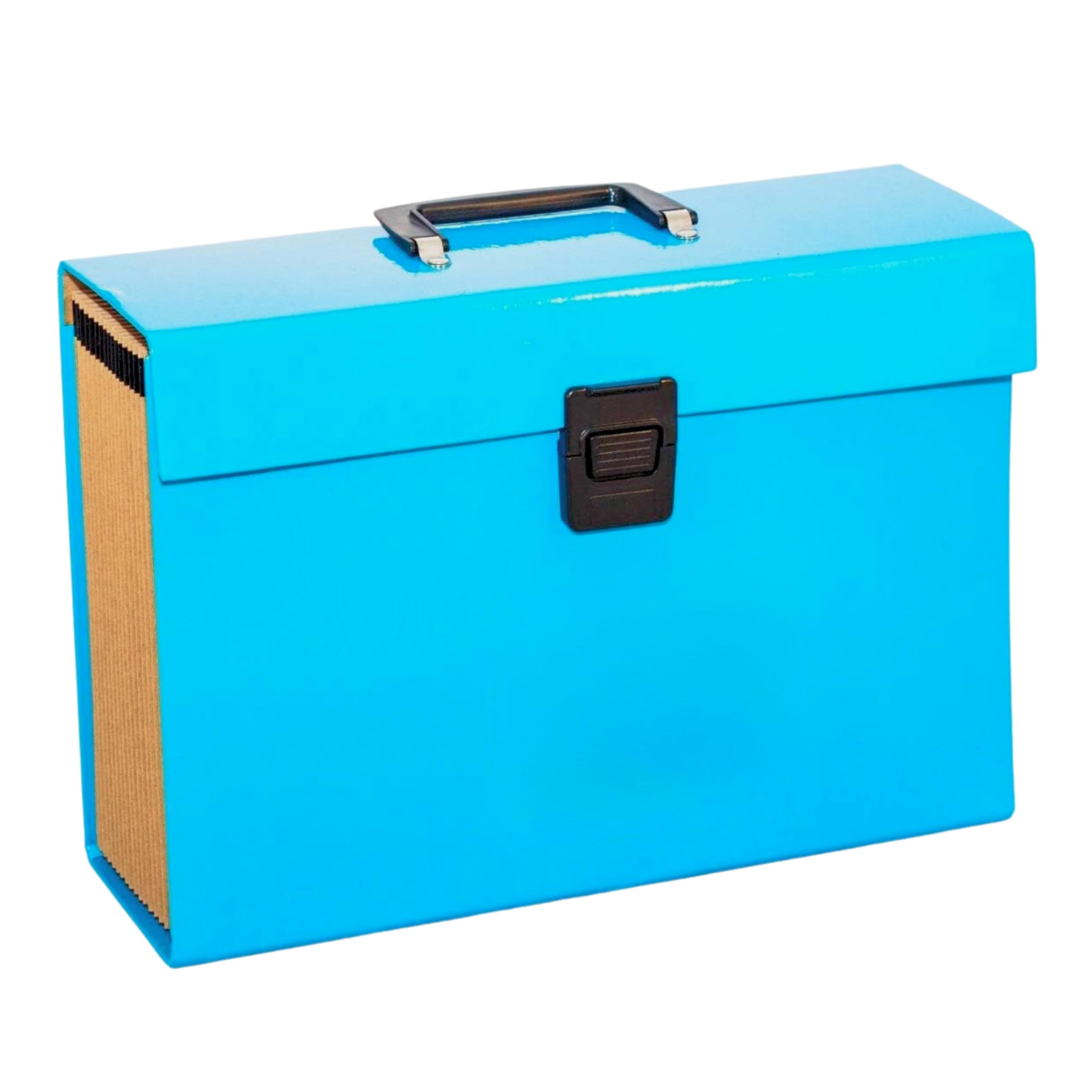 ADEPTNA Highly Durable 19 Pocket Expanding Box File Organiser A4 Paper Folder Case - Perfect for Home School Office Use (Blue)