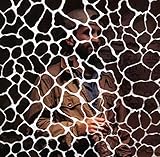 ANIMALS HAVE FEELINGS (DIGIPAK)                    image