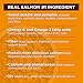 Nature's Recipe Grain Free Dry Dog Food, Salmon, Sweet Potato & Pumpkin Recipe, 12 lb. Bag