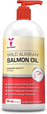 mobile pet grooming staten island