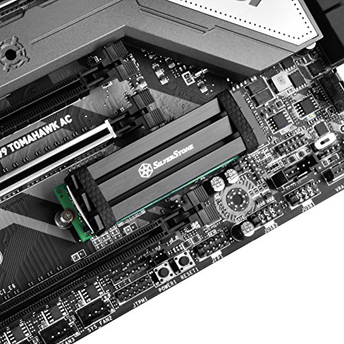 Silverstone-Technology-sst-tp02-m2-aleacin-de-Aluminio-disipador-de-Calor-con-Almohadilla-trmica
