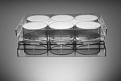 Nest Scientific 703001 Polystyrene 6 Well Cell