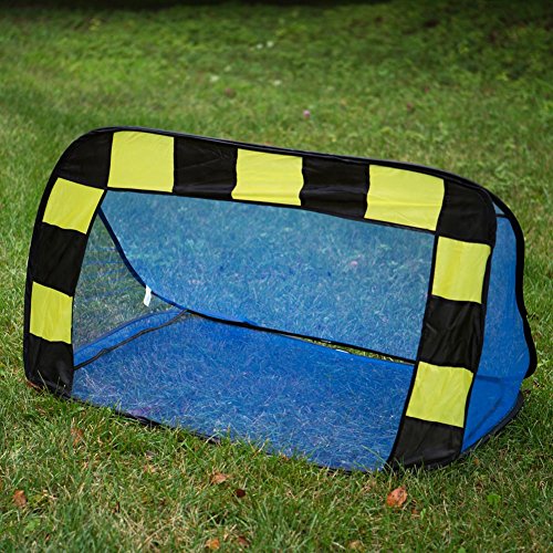 Soccer Carnival Game